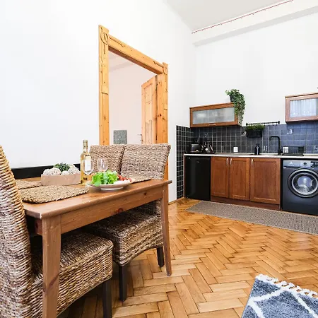 公寓 Old Town Plac Szczepanski Premium 克拉科夫